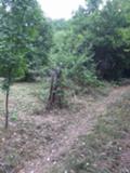 Продава ПАРЦЕЛ, с. Батулия, област София област, снимка 2
