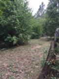 Продава ПАРЦЕЛ, с. Батулия, област София област, снимка 3