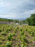 Продава ПАРЦЕЛ, гр. Аксаково, област Варна, снимка 5