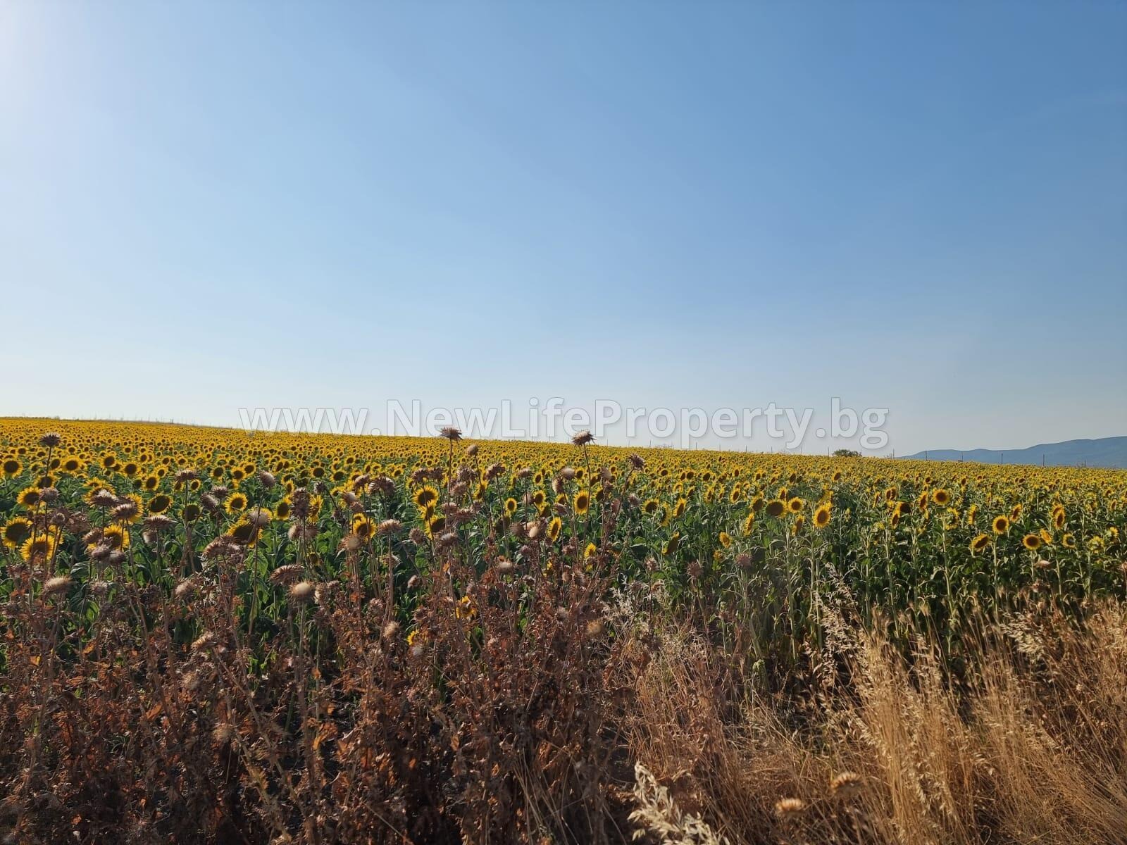 Продава ПАРЦЕЛ | Imot.bg — изображение 9