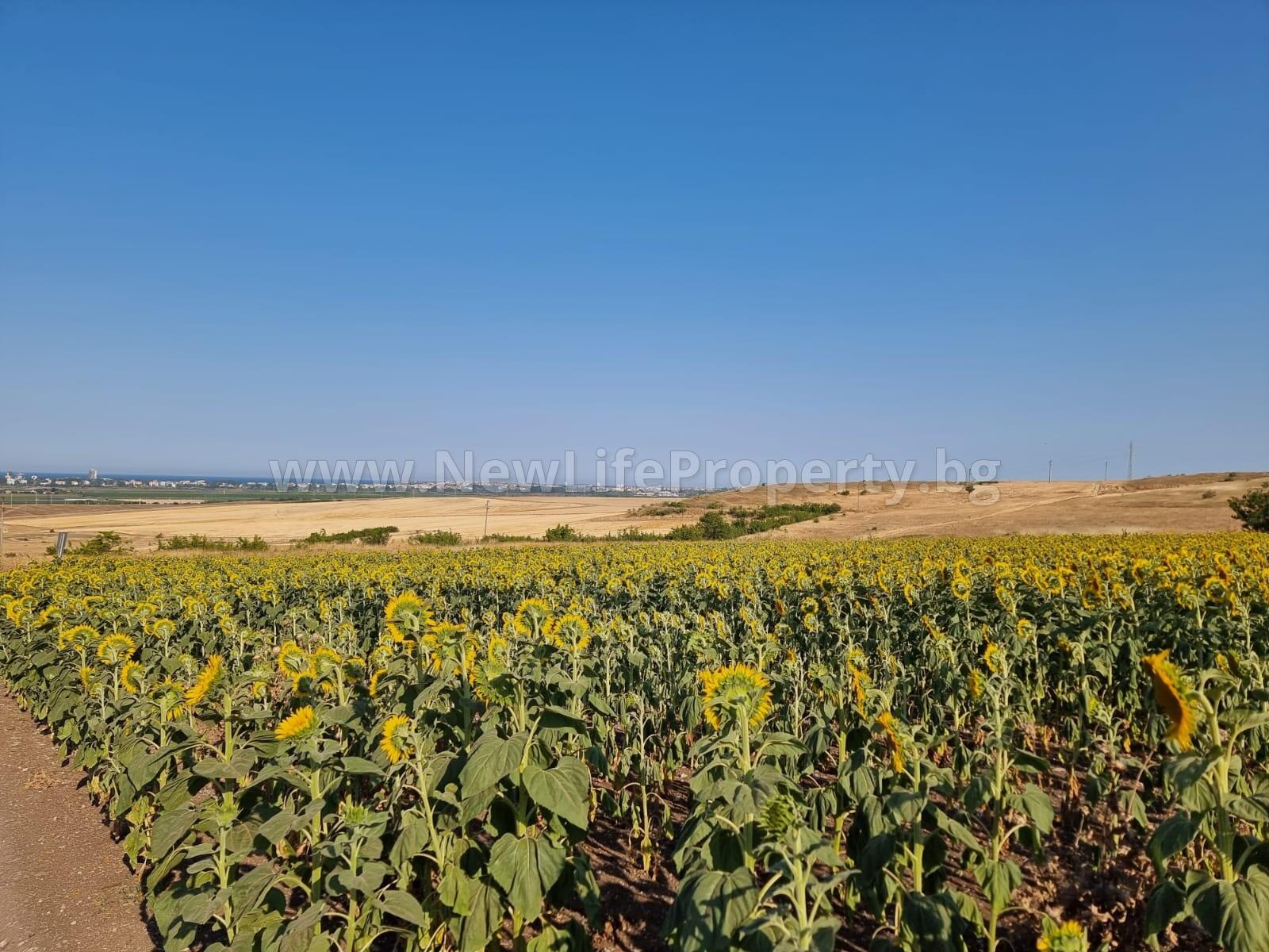 Продава ПАРЦЕЛ | Imot.bg — изображение 11