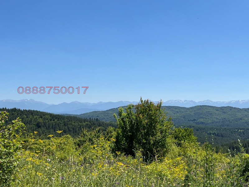 Προς πώληση  Οικόπεδο Σοφηια , Ζελεζνητσα , 800 τ.μ | 91647715 - εικόνα [10]