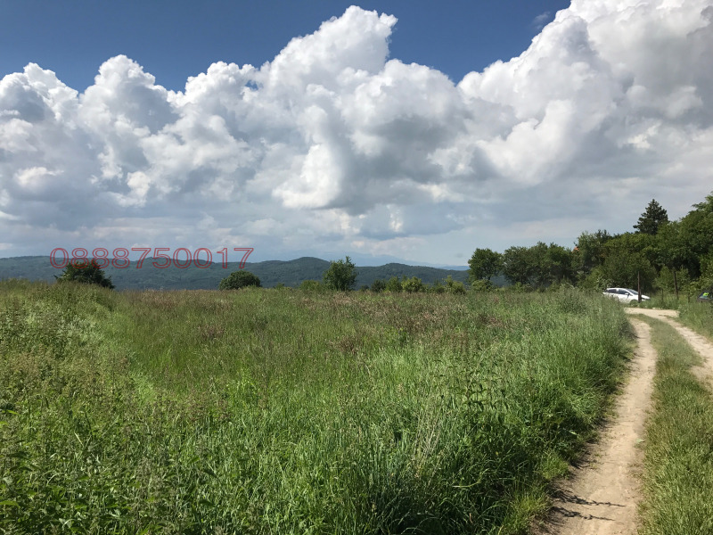 Προς πώληση  Οικόπεδο Σοφηια , Ζελεζνητσα , 800 τ.μ | 91647715 - εικόνα [8]