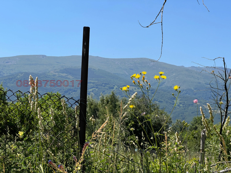 Προς πώληση  Οικόπεδο Σοφηια , Ζελεζνητσα , 800 τ.μ | 91647715
