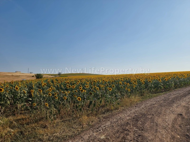 Til salg  Grund region Burgas , Tankovo , 11250 kvm | 58168567 - billede [4]