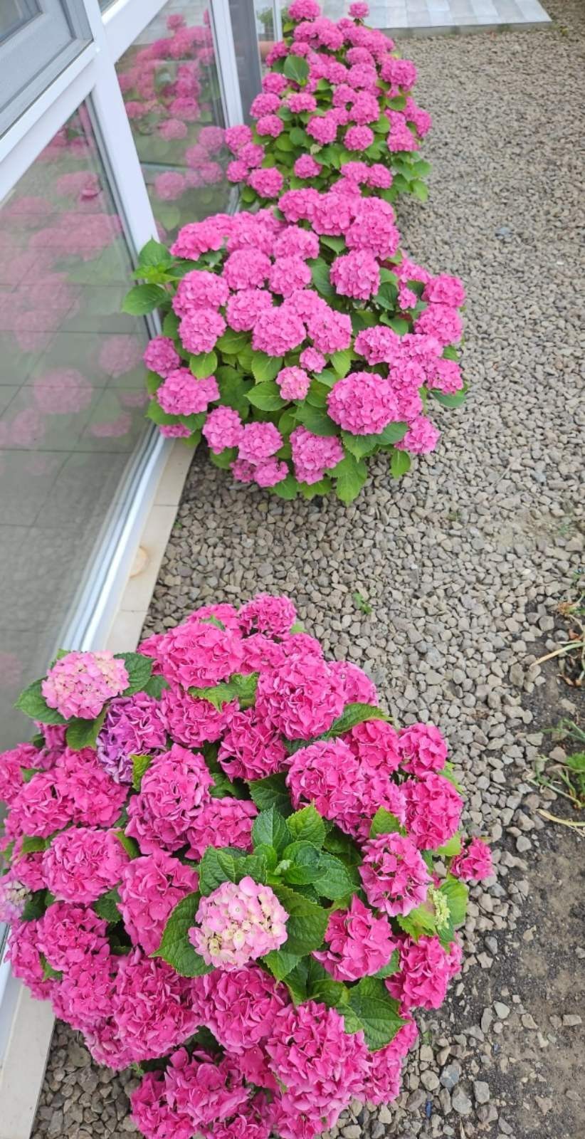 Продава 3-СТАЕН, гр. Свети Влас, област Бургас, снимка 10 - Апартаменти - 54409430
