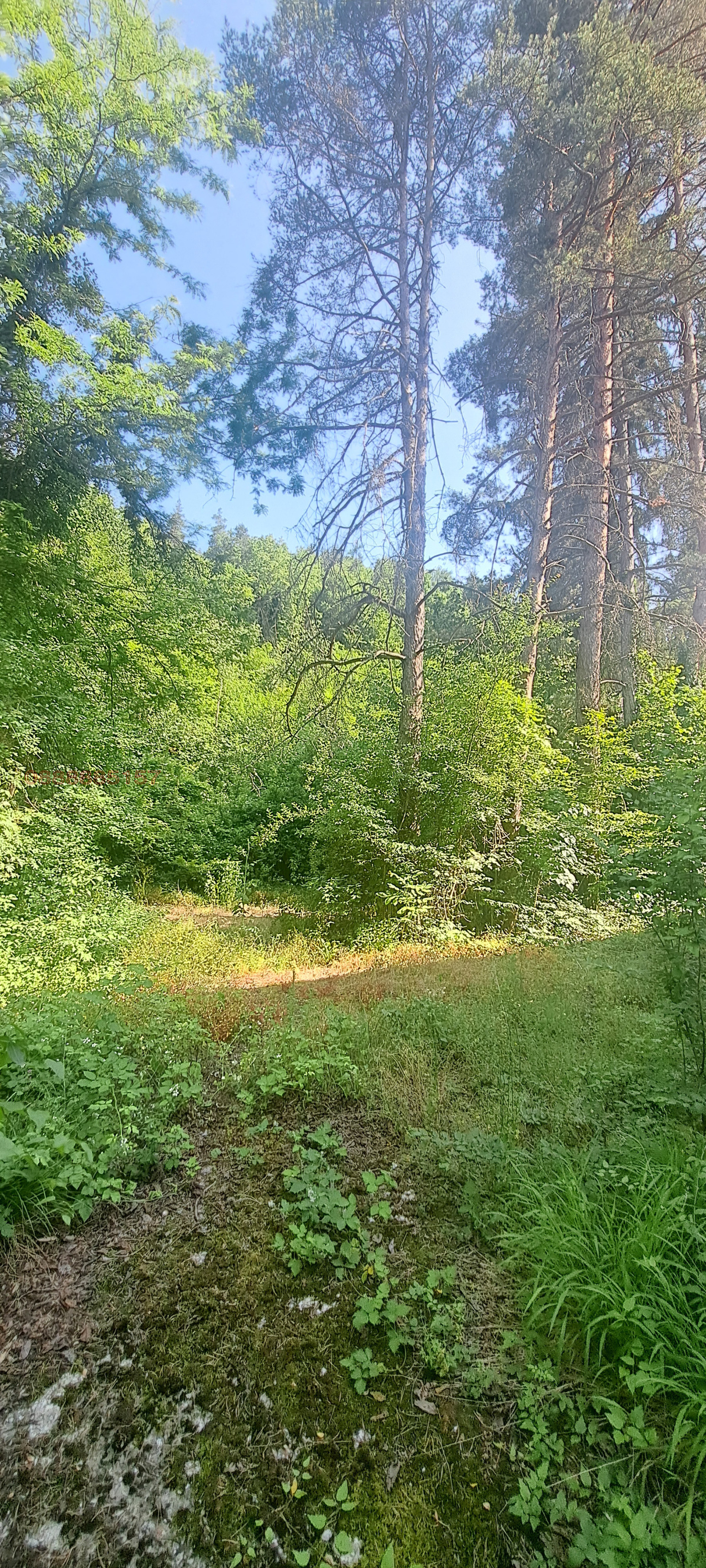 Продава ХОТЕЛ, с. Мишеморков хан, област Велико Търново, снимка 13 - Хотели - 54038904