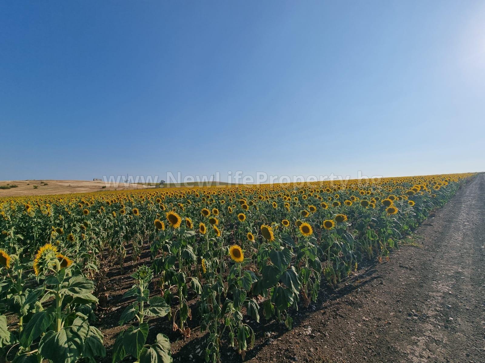 Продава ПАРЦЕЛ, с. Тънково, област Бургас, снимка 2 - Парцели - 50858589