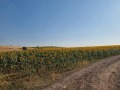 Продава ПАРЦЕЛ, с. Тънково, област Бургас, снимка 3