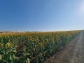 Продава ПАРЦЕЛ, с. Тънково, област Бургас, снимка 2