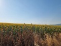 Продава ПАРЦЕЛ, област Бургас, с. Тънково • 415000 € • 31918914 — Holmes.bg
