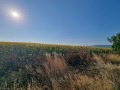 Продава ПАРЦЕЛ, област Бургас, с. Тънково • 415000 € • 31918914 — Holmes.bg