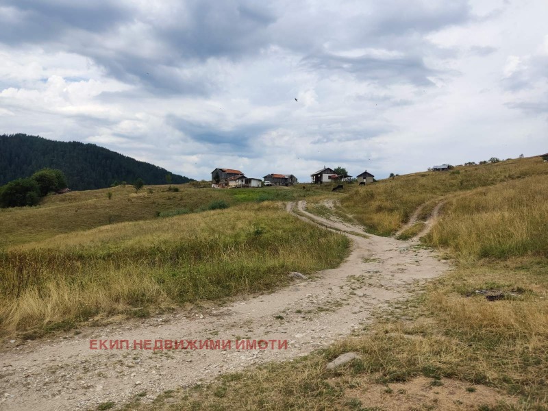 Til salg  Grund region Smolyan , Mugla , 300 kvm | 59289527 - billede [4]