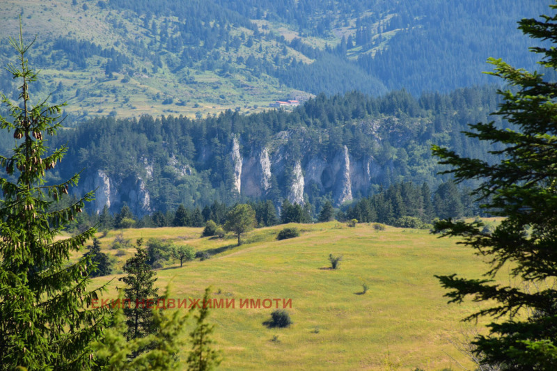 Til salg  Grund region Smolyan , Mugla , 300 kvm | 59289527 - billede [6]