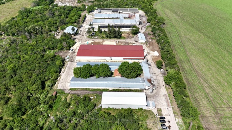 Продава БИЗНЕС ИМОТ, с. Борисово, област Русе