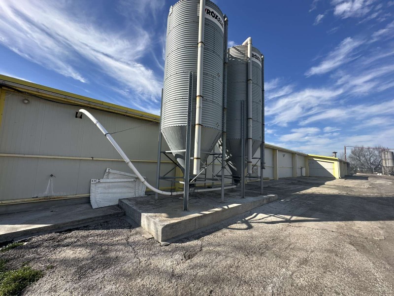 Продава БИЗНЕС ИМОТ, с. Борисово, област Русе, снимка 12 - Други - 49646691