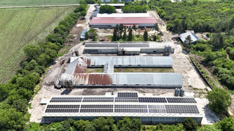 Продава БИЗНЕС ИМОТ, с. Борисово, област Русе, снимка 8 - Други - 49646691