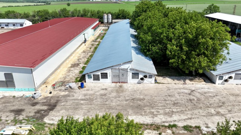 Продава БИЗНЕС ИМОТ, с. Борисово, област Русе, снимка 6 - Други - 49646691