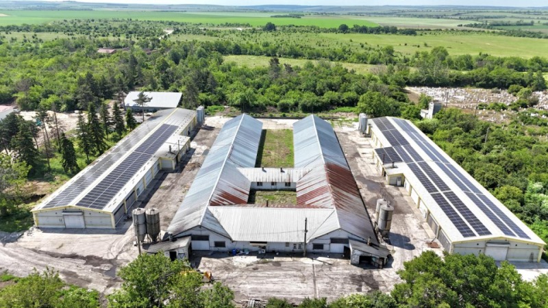 Продава БИЗНЕС ИМОТ, с. Борисово, област Русе, снимка 5 - Други - 49646691