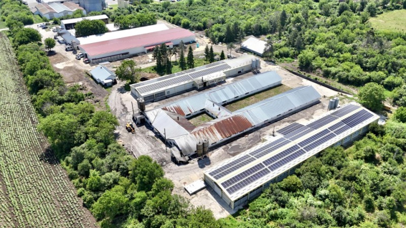 Продава БИЗНЕС ИМОТ, с. Борисово, област Русе, снимка 9 - Други - 49646691