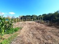 Продава  Къща област Бургас , с. Поляново , 42 кв.м | 53317947 - изображение [15]