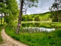 Продава ПАРЦЕЛ, област Смолян, с. Мугла • 350000 € / 684540.50 лв. • 79433352 12