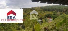 Plott Dabrava, Stara Zagora 1