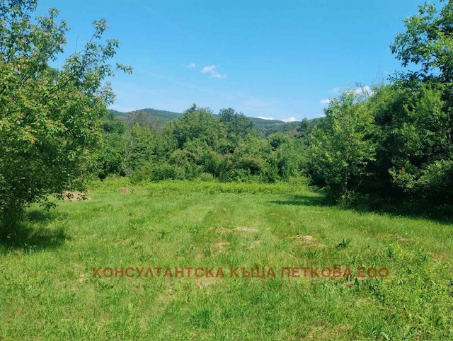 Продается  Сюжет область Ловеч , Стефаново , 1571 кв.м | 99689908 - изображение [7]