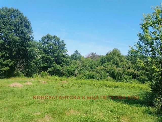 Продается  Сюжет область Ловеч , Стефаново , 1571 кв.м | 99689908 - изображение [6]