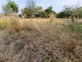 Продава КЪЩА, област Велико Търново, с. Куцина • 23000 € • 37775129 — Holmes.bg