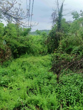 Komplott Butjukovci, region Gabrovo 6