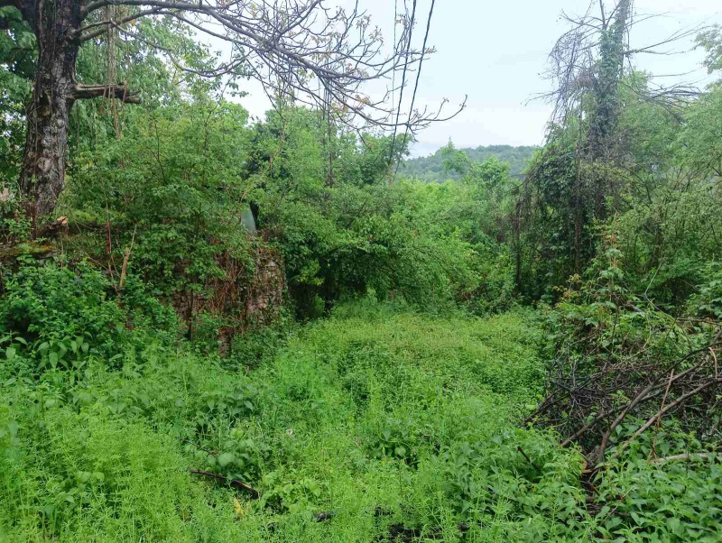 In vendita  Complotto regione Gabrovo , Buchukovtsi , 2234 mq | 67560167 - Immagine [5]
