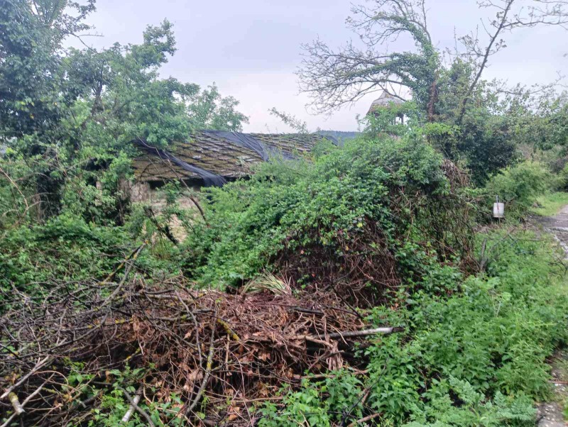 In vendita  Complotto regione Gabrovo , Buchukovtsi , 2234 mq | 67560167 - Immagine [7]