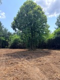 Продава ПАРЦЕЛ, гр. София, с. Лозен, снимка 1