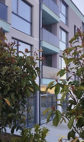 ����� ������� 2-�����,���� �����, �������� ������