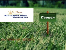 ����� ������� ������,���� �����, �.�.����������� 3 ����