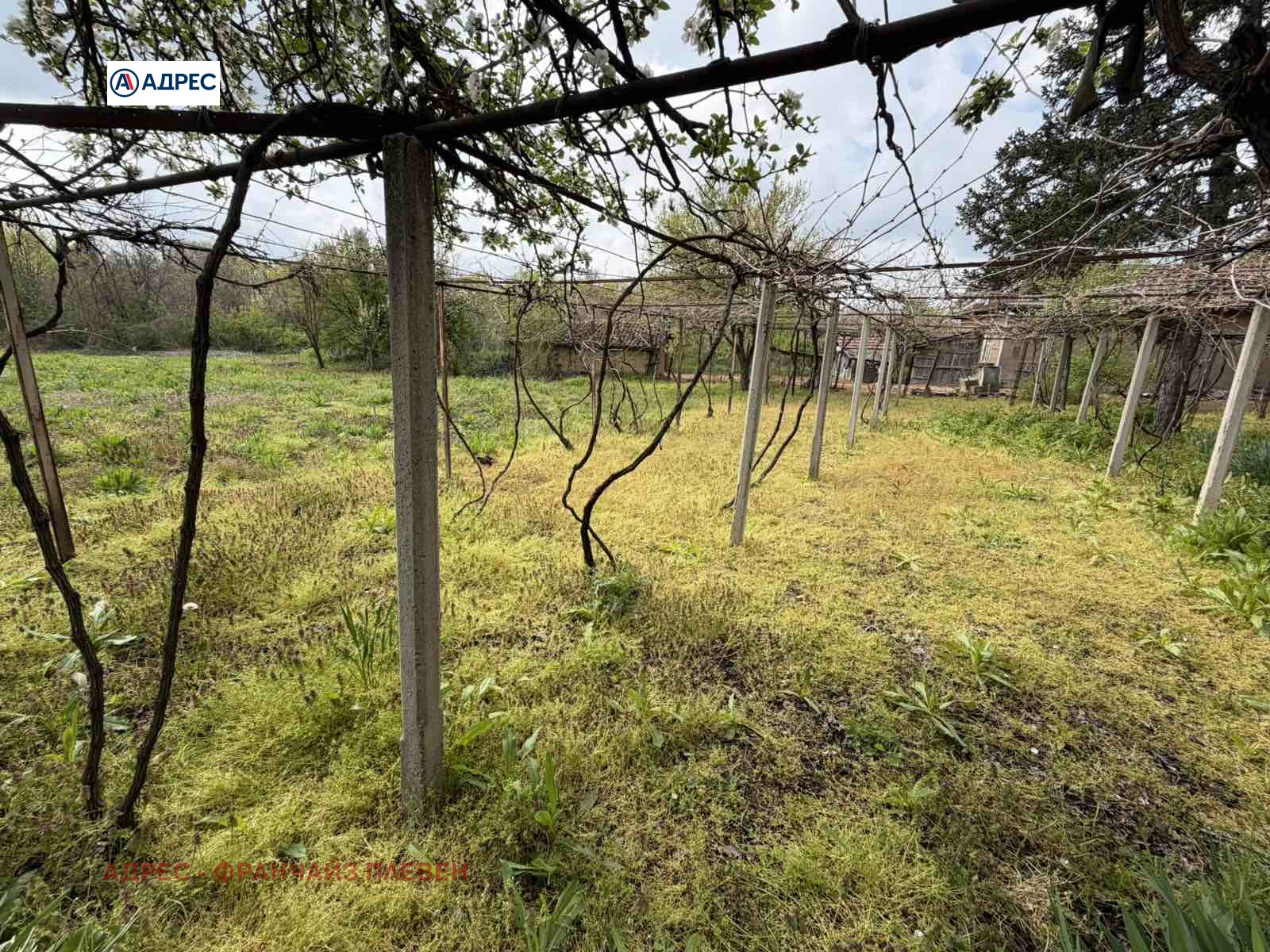 Продава КЪЩА, с. Българене, област Плевен, снимка 5 - Къщи - 54291496