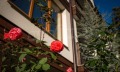 Продава 2-СТАЕН, област Бургас, гр. Созопол • 98938 € • 16083515 — Holmes.bg