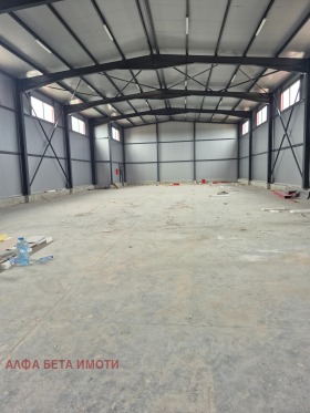 ����� ������� �����,���� ����� ������, ������������ ���� - �����