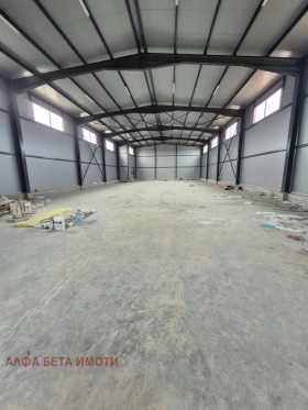 ����� ������� �����,���� ����� ������, ������������ ���� - �����