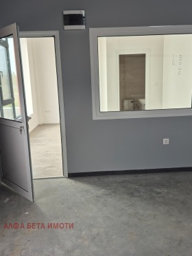 ����� ������� �����,���� ����� ������, ������������ ���� - �����>