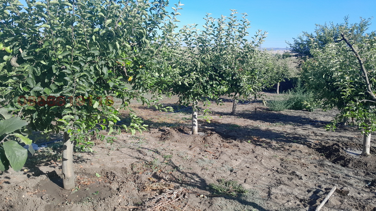 Продава КЪЩА, с. Житница, област Варна, снимка 16 - Къщи - 55256050