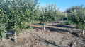 Продава  Къща област Варна , с. Житница , 80 кв.м | 80865641 - изображение [16]
