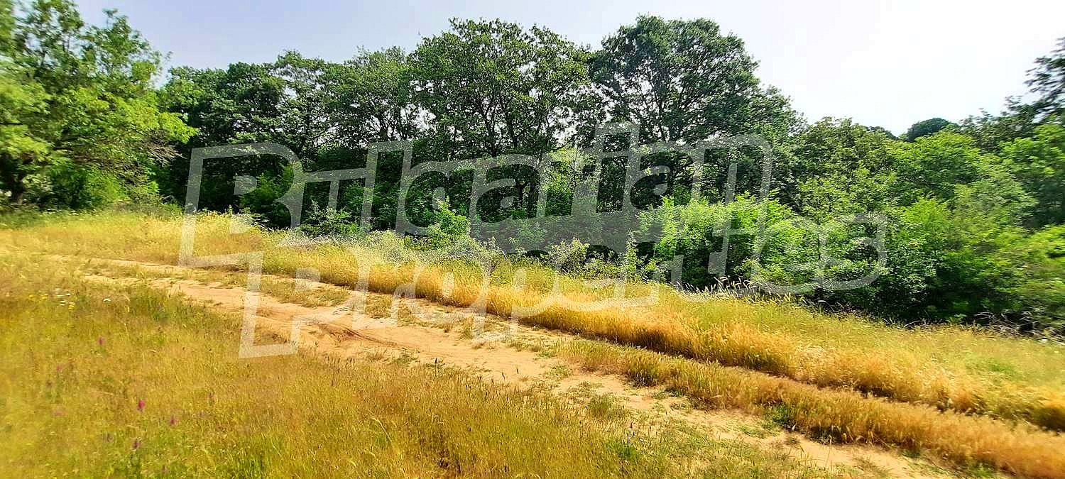 Продава ПАРЦЕЛ | Imot.bg — изображение 8