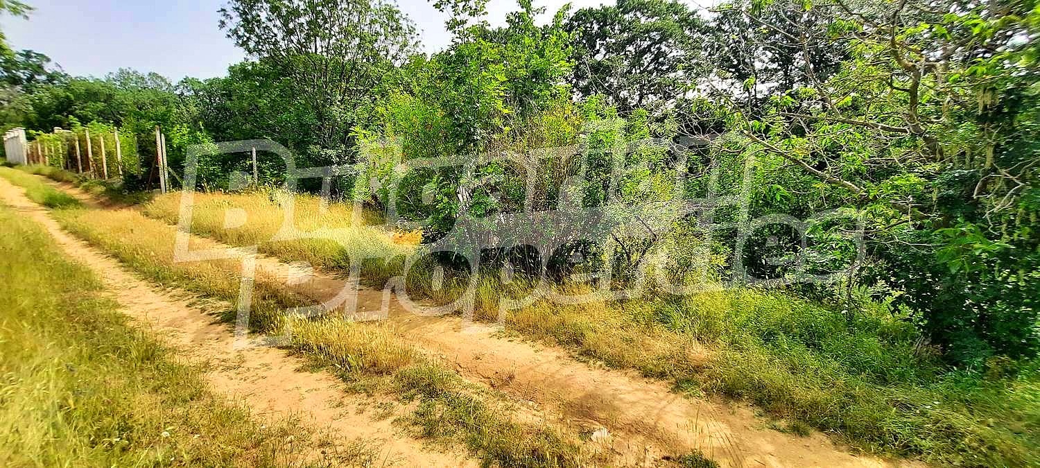 Продава ПАРЦЕЛ | Imot.bg — изображение 4