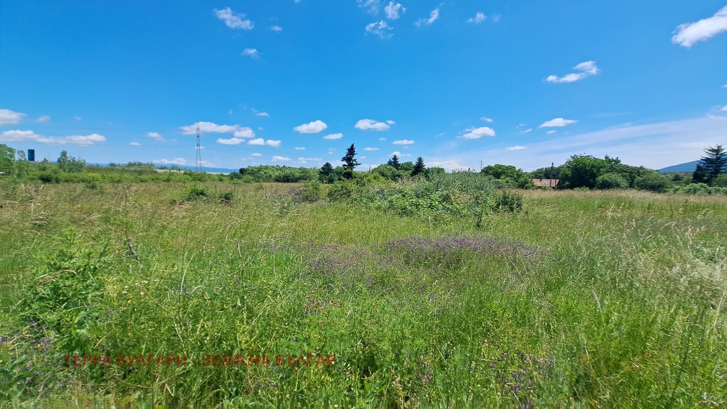 ������� ������ | Imot.bg � ����������� 8