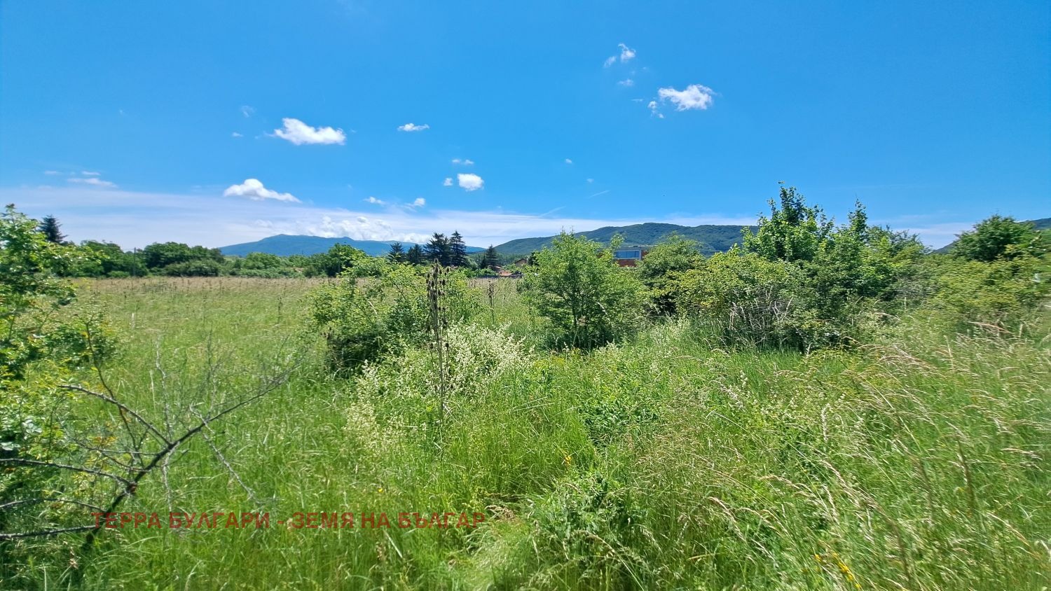 ������� ������ | Imot.bg � ����������� 5