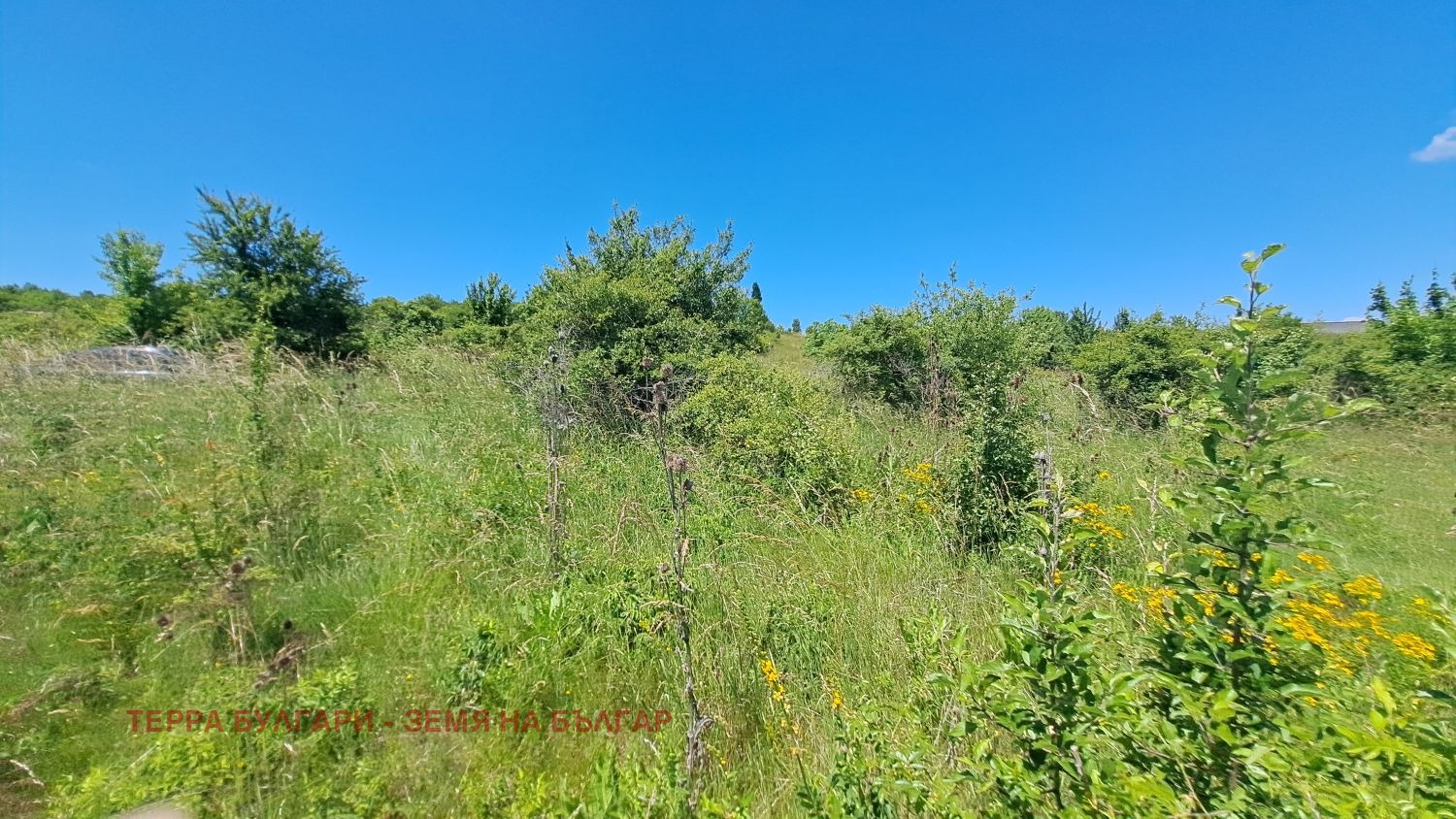 ������� ������ | Imot.bg � ����������� 12