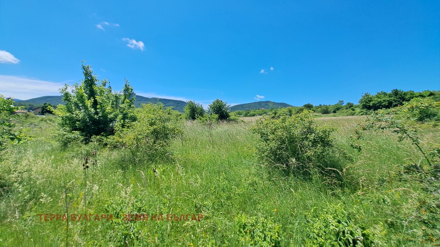 ������� ������ | Imot.bg � ����������� 4
