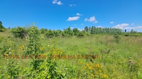 ������� ������ | Imot.bg � ����� ������ 11